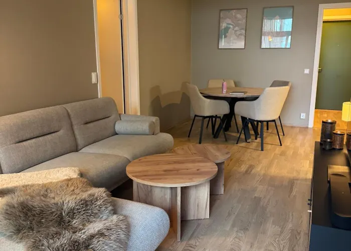Modern And Scandinavian Style With Parking Daire Trondheim